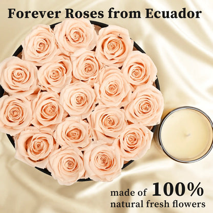 LIFELUM Forever Flowers with Scented Candle in Box-Champagne Roses