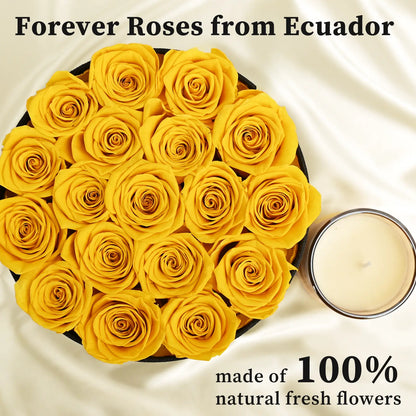 LIFELUM Forever Flowers with Scented Candle in Box-Yellow Roses