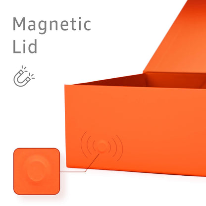 LIFELUM Orange Gift Box 13.8in