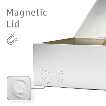 LIFELUM Silver Gift Box 13.8in